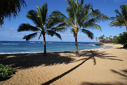 Beach House Rentals on Poipu Beach Kauai Hawaii