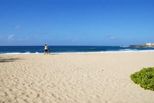 Shipwreck's Beach - A one-minute walk