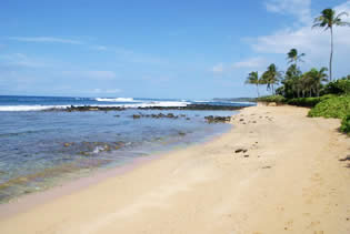 Baby Beach - A one-minute walk